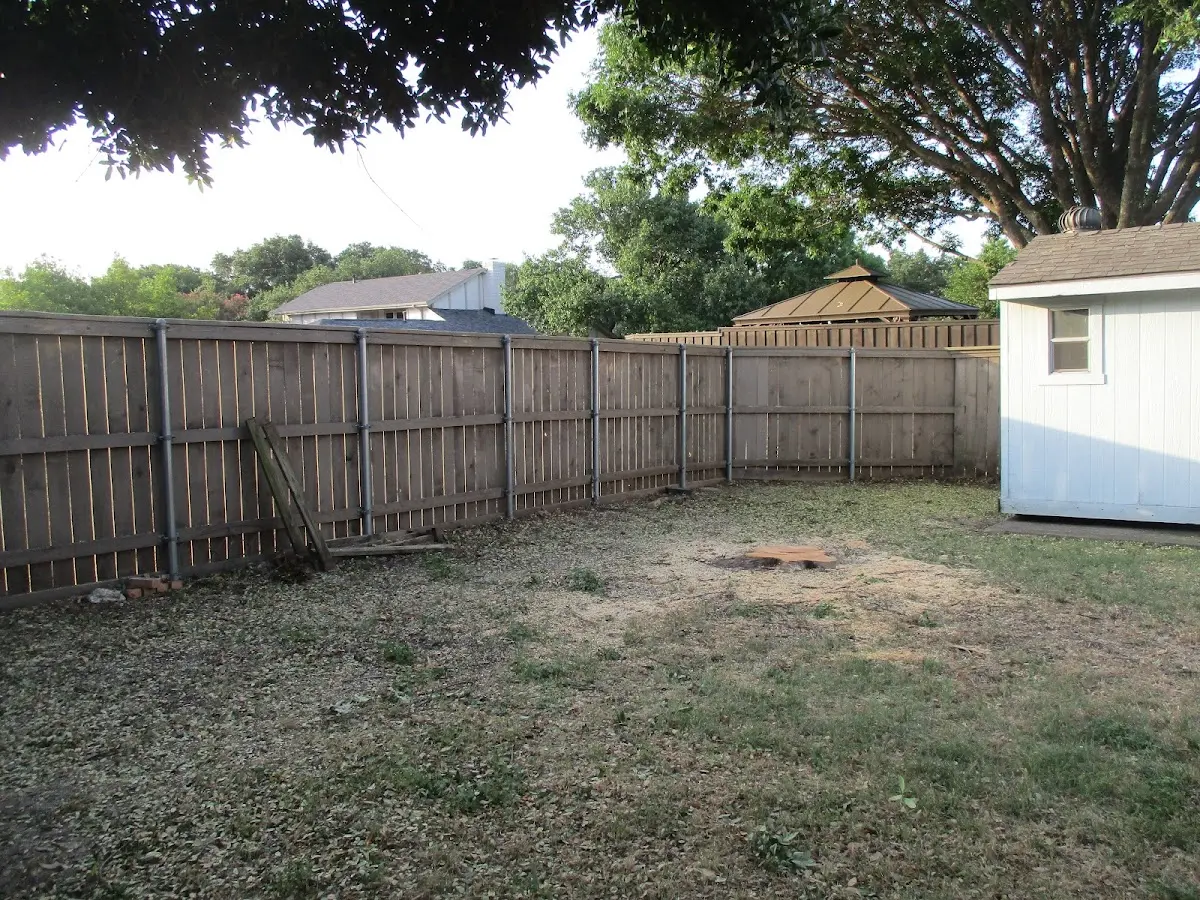Cleared yard after professional tree removal in Summit